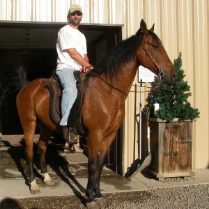 Photo of Bob Arndt on Horse
