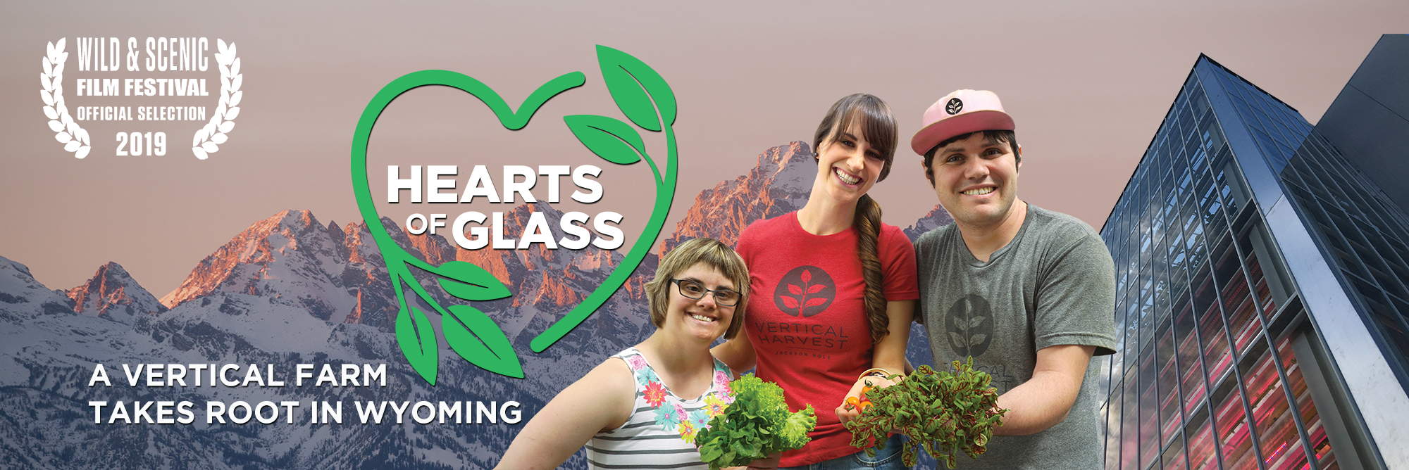 Donate to Hearts of Glass Film