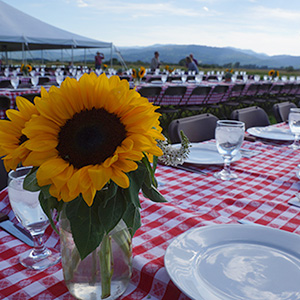 Photo of Lockhart Summer Ranch Party table