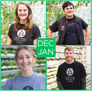 Square graphic with four square photos of Vertical Harvest employees in the Jackson greenhouse. Upper Left: Ava Reynolds - young white woman with wavy long brown hair. Upper Right: Johnny Fifles - young white man with black wavy hair. Lower Left: JoJo Denmark - young white woman with light brown hair pulled back from her face. Lower Right: Lucas Freeze - young man with reddish brown hair and light mustache and beard.