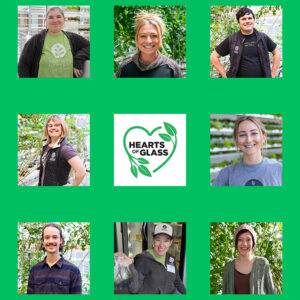 Eight square photos and the Hearts of Glass film logo arranged on a green background in three row. Vertical Harvest employees pose in the greenhouse. The film logo is in the center square.